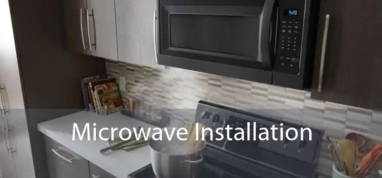 Microwave Installation 