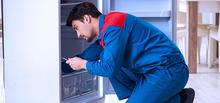 Freezer Repair Services in Thorold